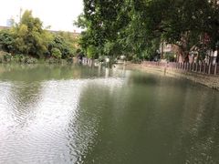 -小洲村