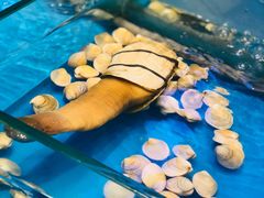 -潮州府·潮菜·砂锅粥(徐家汇店)
