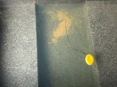 -春晖园度假酒店温泉