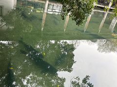 -杭州植物园