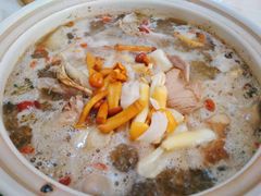 五指毛桃药膳鸽-鸽鸟轩(石岐店)