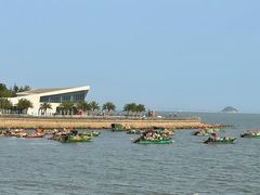 -野狸岛