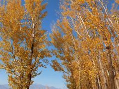 -野鸭湖国家湿地公园