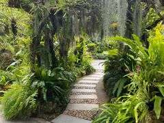 -深圳仙湖植物园