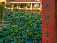 -广州莲花山旅游区