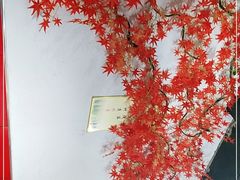 -金莱餐厅