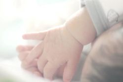 -海豚湾高端月子会所(黄浦店)