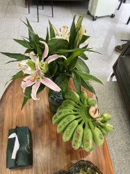 -韩国丽安形象设计