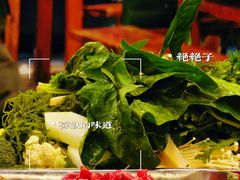 -金鼎雪山牦牛杂火锅(理县总店)