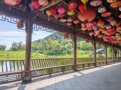 -武汉紫薇都市田园