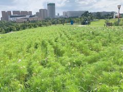 -长春世界雕塑园冰雪艺术天地