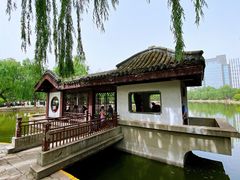 -团结湖公园
