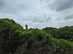 -天下玉苑