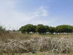 -漕湖湿地公园