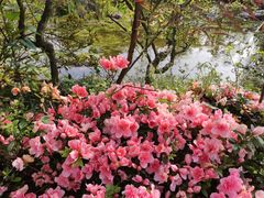 -南山植物园