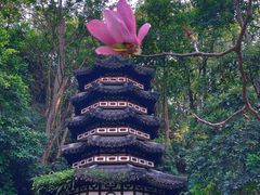 -深圳国际园林花卉博览园