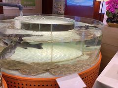 -万龙洲海鲜(大兴绿地缤纷城店)