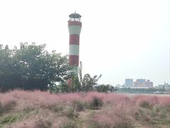 -上海山野camping·户外天幕烧烤·团建拓展营地