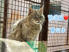 -青藏高原野生动物园
