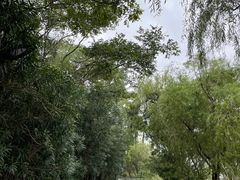 -上海吴淞炮台湾国家湿地公园