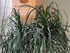 -Kekimatata 生日蛋糕·烘焙教学