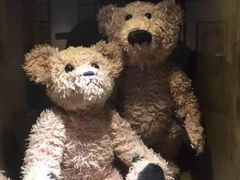 -济州岛泰迪熊博物馆