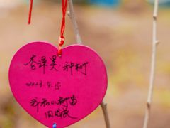 -魔力熊儿童早教托育中心(硚口同馨店)