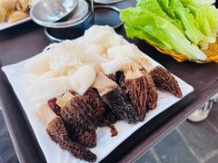 -蘑统田下·野生菌火锅