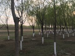 -东郊湿地公园