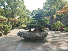 -南山植物园