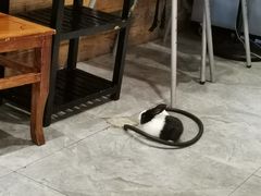 -霸王牛肉(龙湖U城店)