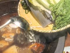 -院里·贵州菜(府东街店)