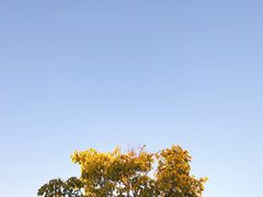 -清溪水库