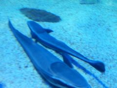 -福州罗源湾海洋世界旅游区