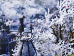 -梵净山旅游区