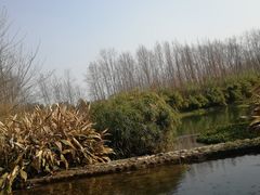 -桤木河湿地公园