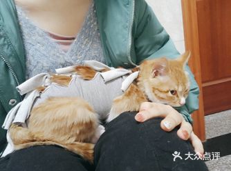 医生说算瘦的，我本来还觉得不瘦了呢，蜷起来跟球一样