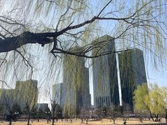 -西海子公园
