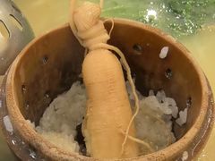 -朴小妹人参鸡汤火锅(长白山万达店)
