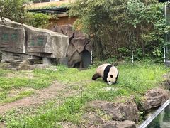 -宁波野生动物园