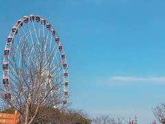 -自然谷恐龙园
