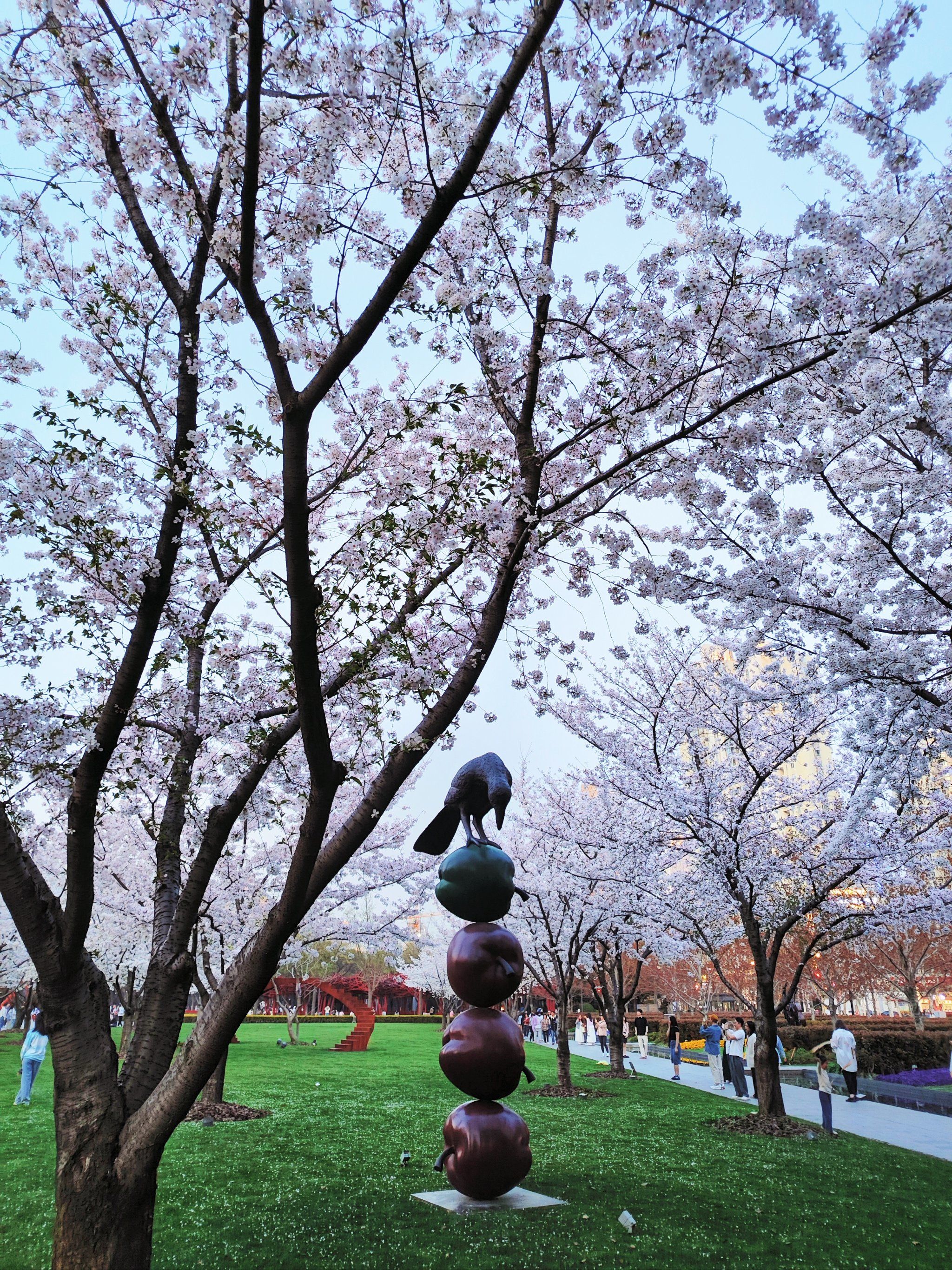 春日序曲🌸静安雕塑公园的樱花谧林