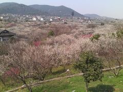 景点-林屋洞景区
