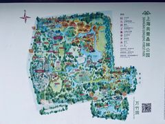 -上海共青森林公园