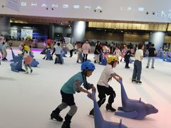 -TheRink大零溜冰场(IFS国金中心店)