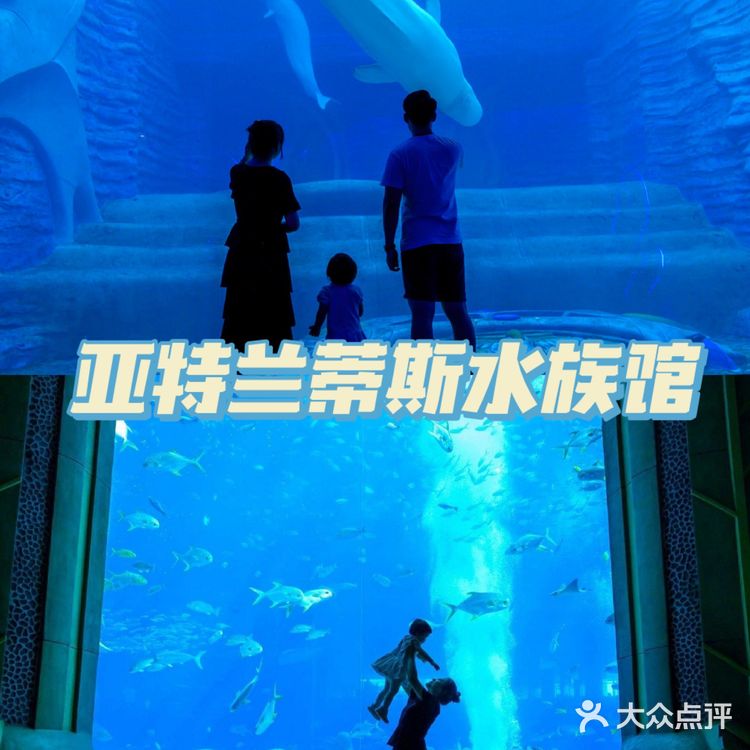 三亚景点|亚特兰蒂斯水族馆攻略