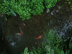 -中国茶叶博物馆(双峰馆区)