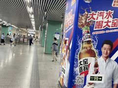 -宋家庄(地铁站)