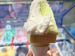 -柠檬车露(卖草地店)