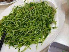 -日日香卤鹅饭店·澄海狮头鹅(澄海店)